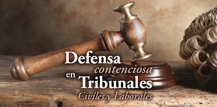 DefensaenTribunales - Specialized Services